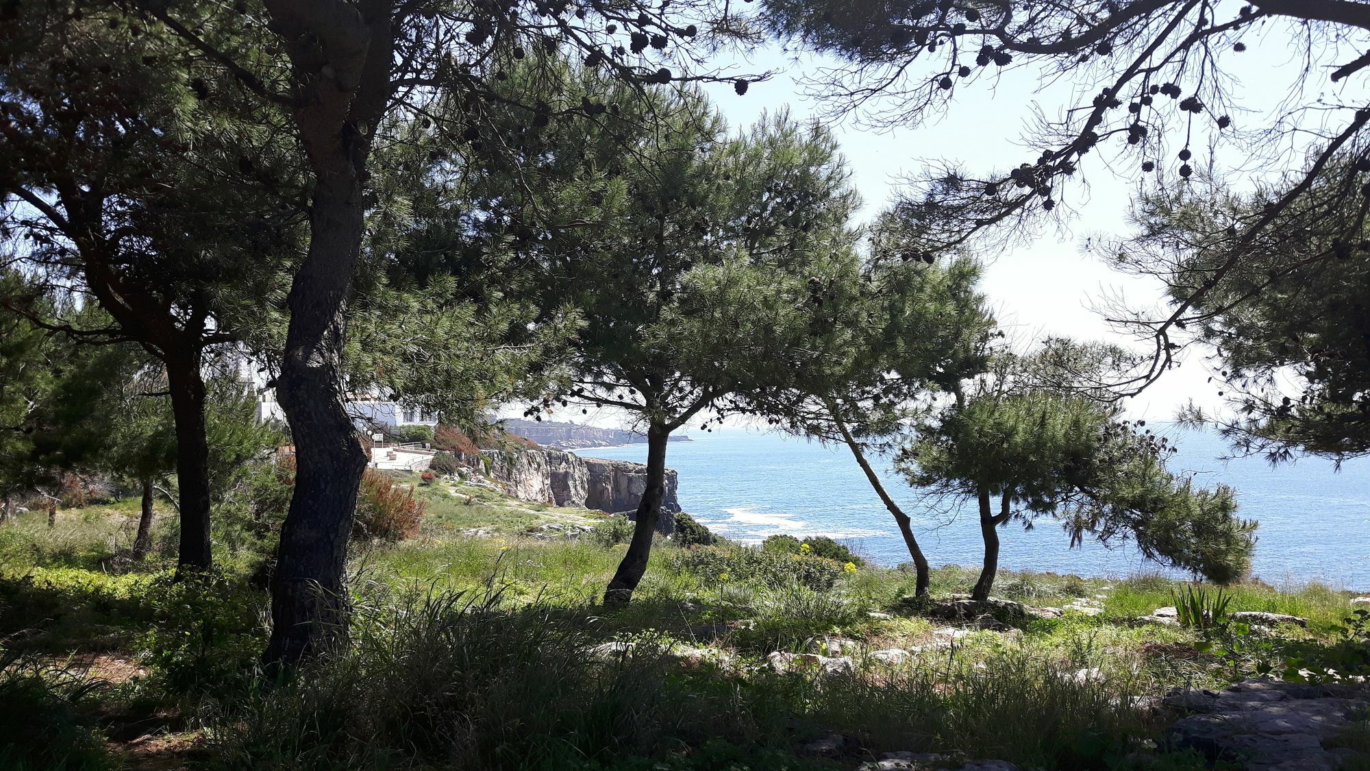 Charming Villa Golf & Beach Cascais Eksteriør bilde